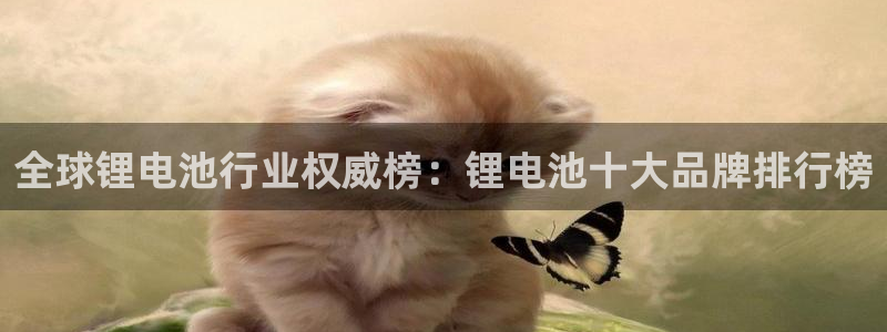 tp钱包被端
