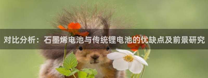 TP钱包官网下载最新