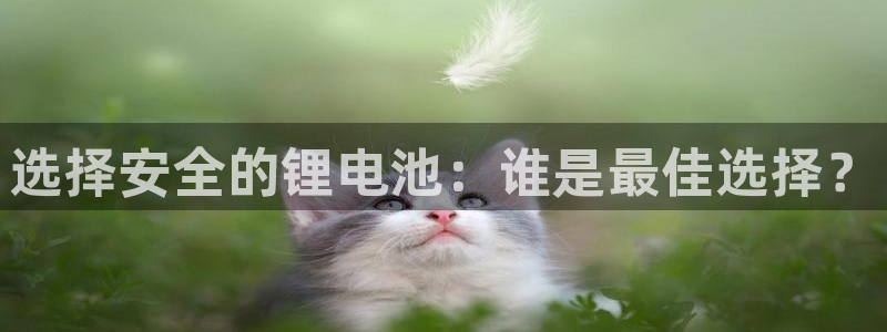 tp钱包trx怎么变成现金