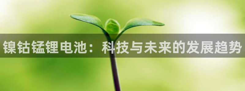苹果手机tp钱包官网下载
