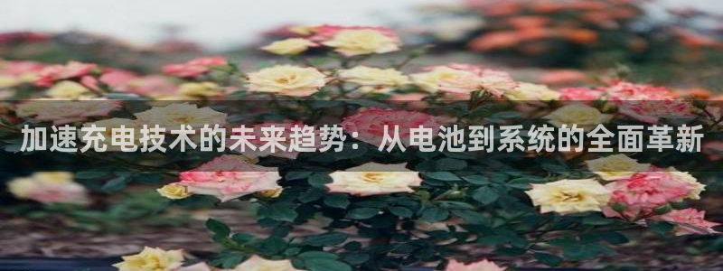 tp钱包以太跨链转账bsc