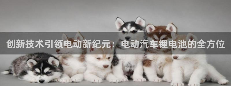tp钱包BNB如何转为opbnb