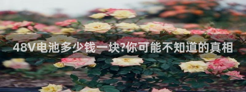 tp钱包 gas