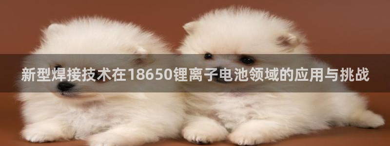 tp钱包买卖交易步骤