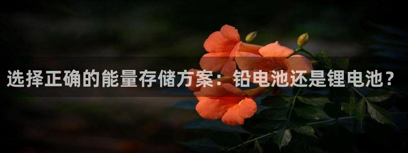 tp钱包余额不更新