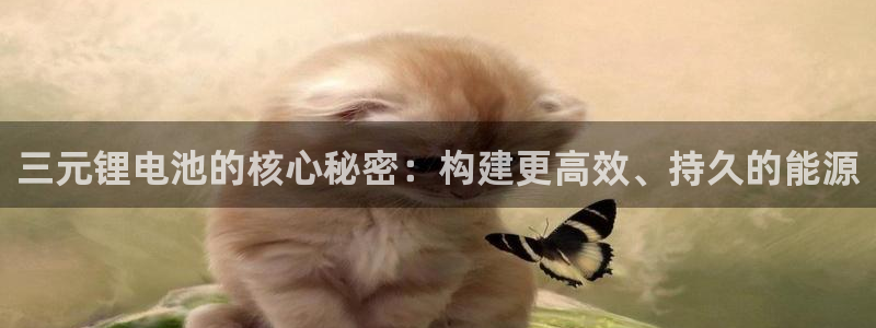 TP钱包安卓下载安装流程