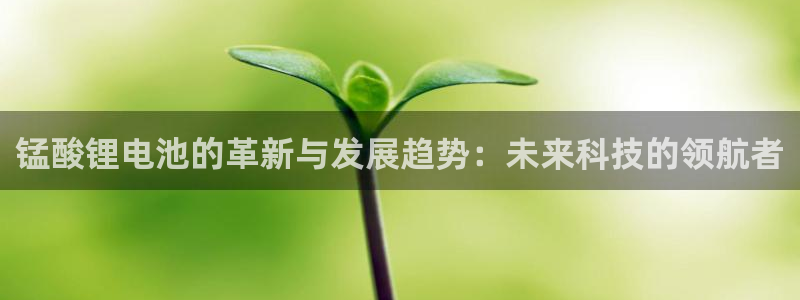 tp钱包密码设置