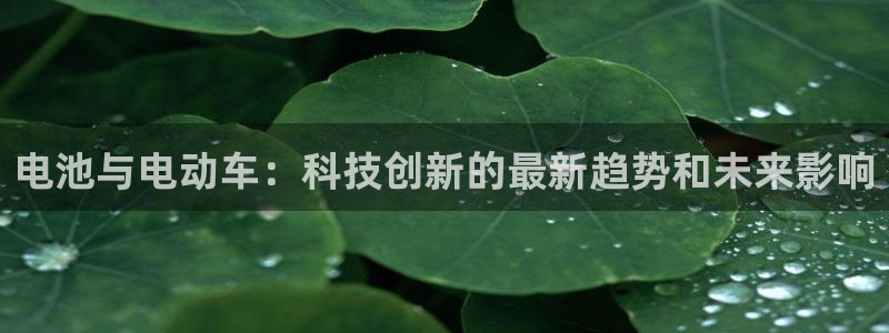 Tp钱包安卓旧版下载