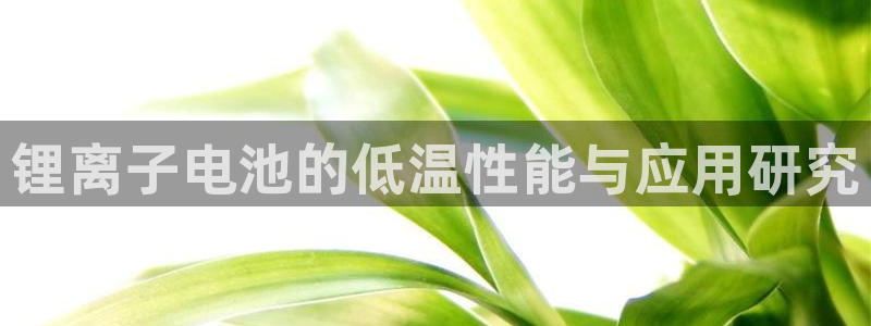tp钱包usdt怎么提现