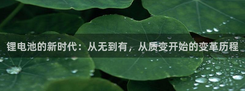 tp钱包BNB怎么转出