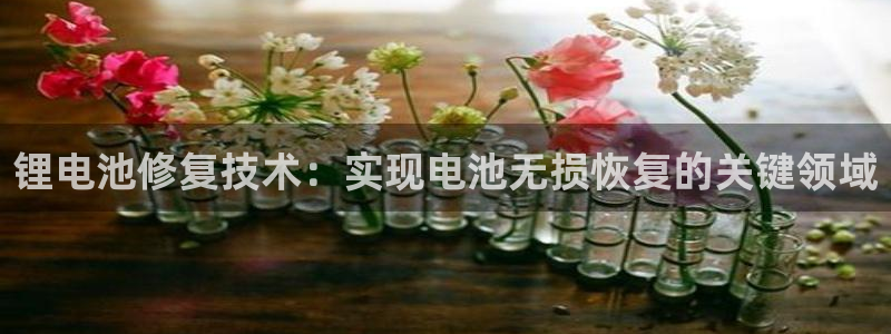 tp冷钱包转账出现sigerrot