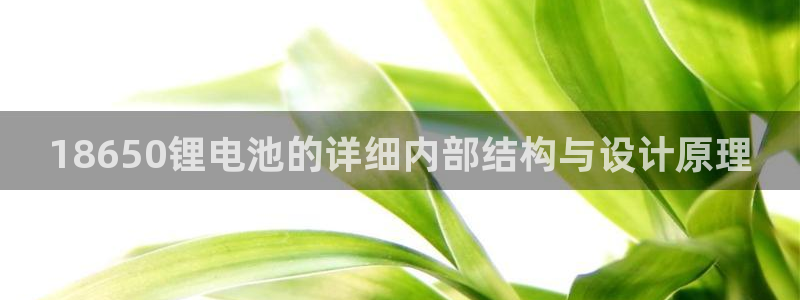 tp钱包海外版苹果官方下载