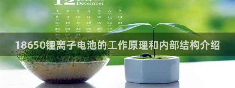 tp观察钱包怎么转换普通钱包