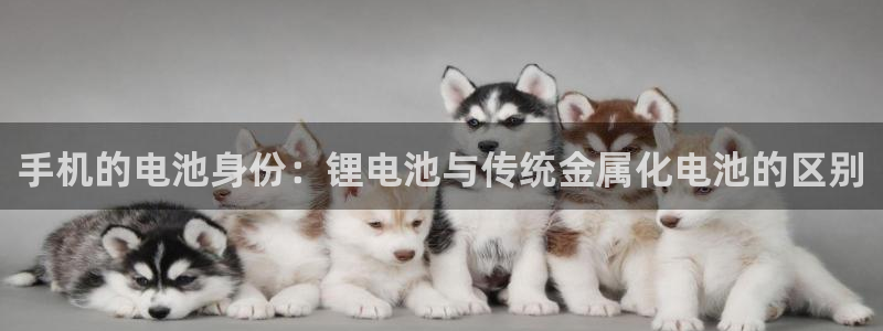 苹果下载tp钱包教程