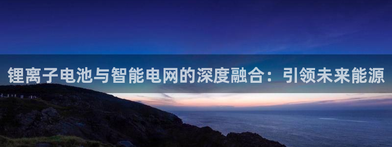 tp钱包gas怎么闪兑：锂离子电池与智能