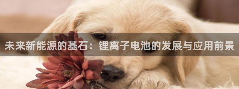 TP钱包显示高风险病毒：未来新能源的基石